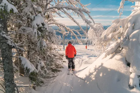 Norefjell