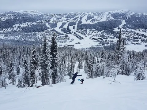 Puderskogen på Kvitfjell Varden