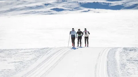Längdåkning Trysil