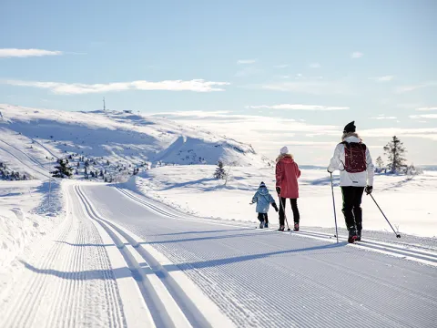 Längdåkning i Skeikampen